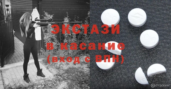 стаф Кодинск