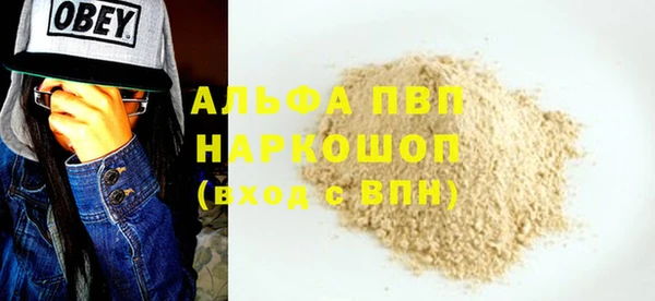 стаф Кодинск