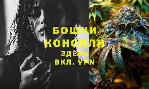 стаф Кодинск