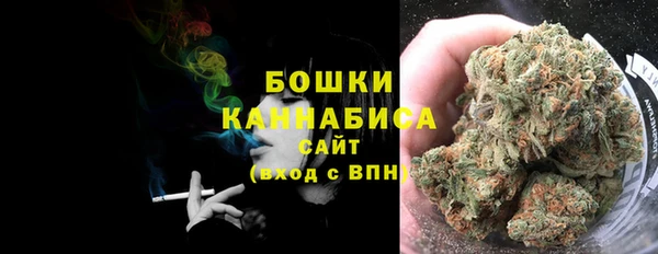 прущие грибы Козловка