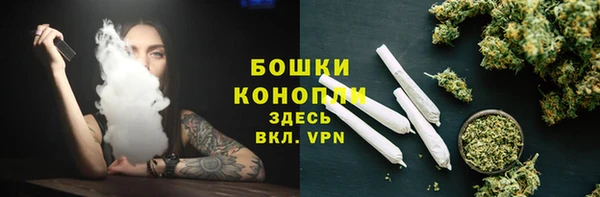 прущие грибы Козловка