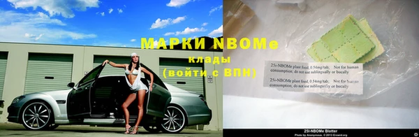 прущие грибы Козловка