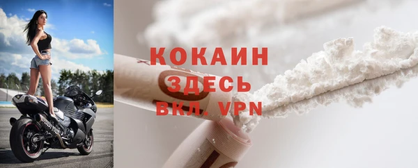 прущие грибы Козловка