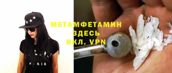 прущие грибы Козловка