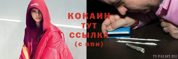 прущие грибы Козловка