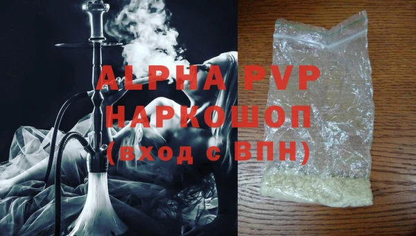 прущие грибы Козловка