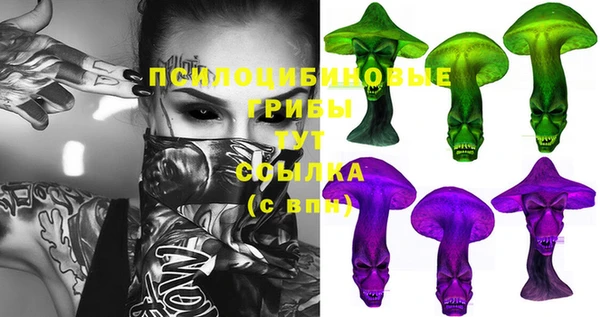 стаф Кодинск