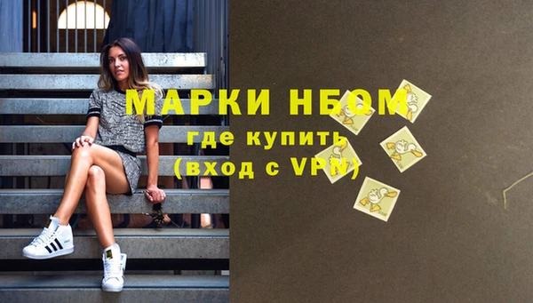 стаф Кодинск