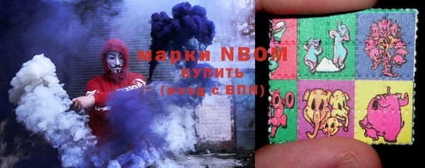 стаф Кодинск