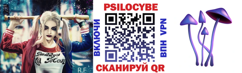 цена   Саратов  Псилоцибиновые грибы MAGIC MUSHROOMS 